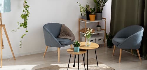 Chairs & Plants